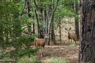 2550 E Old Miner Rd, Prescott, AZ 86303 - Photo 7