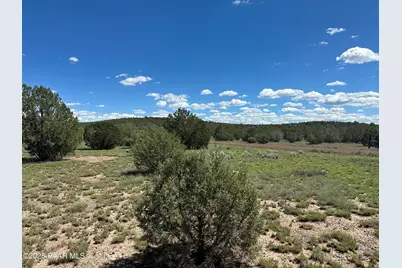 1013 W Fairview Drive, Williams, AZ 86046 - Photo 3