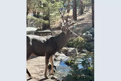 734 E Pine Knoll Drive, Prescott, AZ 86303 - Photo 25