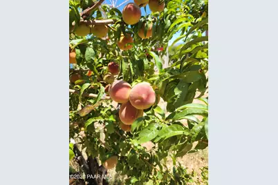 350 W Ranch House Road, Paulden, AZ 86334 - Photo 39