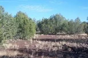 3792 N Cleo Dr, Williams, AZ 86046 - Photo 1