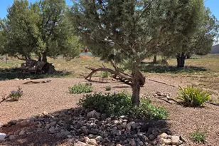 1386 Canyon Rd, Williams, AZ 86046 - Photo 41