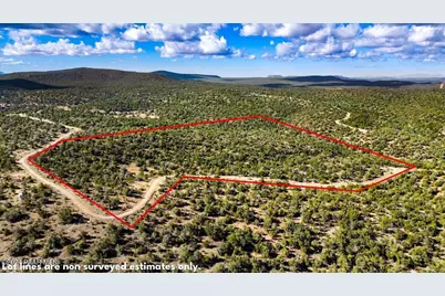 1399 N Thunder Ridge Ranch Road, Seligman, AZ 86337 - Photo 5
