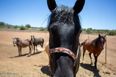 9900 N Sycamore Pass Road, Sedona, AZ 86336 - Photo 25