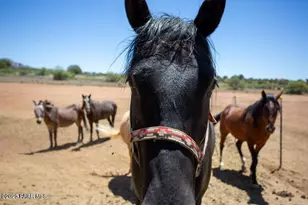 9900 N Sycamore Pass Rd, Sedona, AZ 86336 - Photo 25