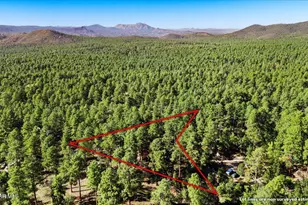 4754 S Senator Hwy, Prescott, AZ 86303 - Photo 21