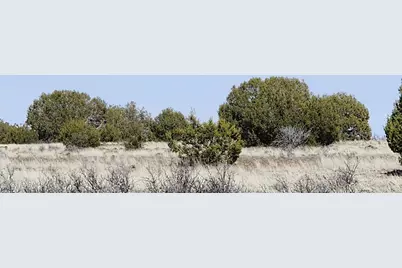 644 Cortez Ranch Rd, Ash Fork, AZ 86320 - Photo 3