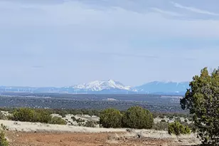 644 Cortez Ranch Rd, Ash Fork, AZ 86320 - Photo 1