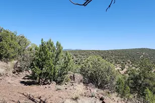 21095 McKenzie Dr, Kingman, AZ 86401 - Photo 17