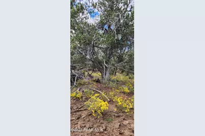 912 Westwood Ranch, Ash Fork, AZ 86320 - Photo 11