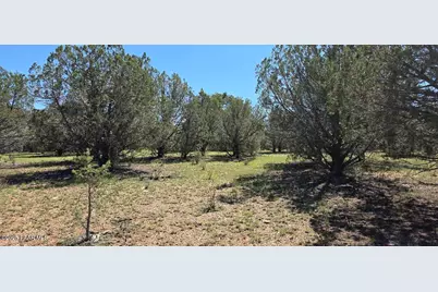 912 Westwood Ranch, Ash Fork, AZ 86320 - Photo 7