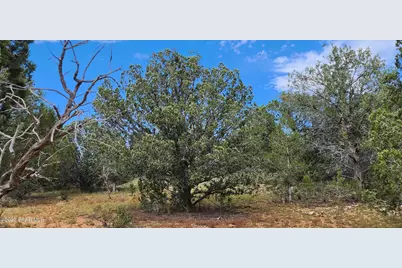 912 Westwood Ranch, Ash Fork, AZ 86320 - Photo 9