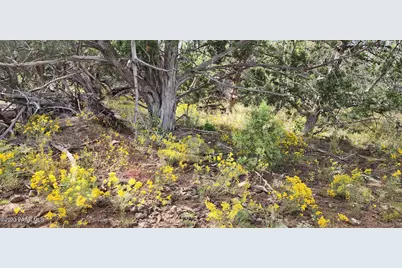 912 Westwood Ranch, Ash Fork, AZ 86320 - Photo 23