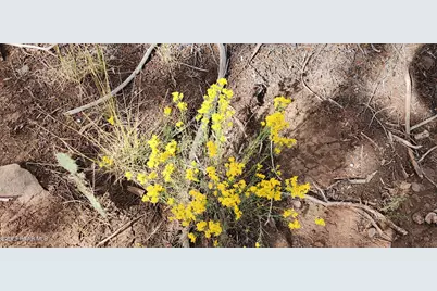 912 Westwood Ranch, Ash Fork, AZ 86320 - Photo 19