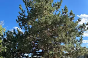 18212 S Pioneer Rd, Peeples Valley, AZ 86332 - Photo 29