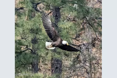 525 Lotus Court, Prescott, AZ 86301 - Photo 71