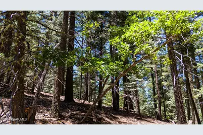 8015 S Millsite Drive, Prescott, AZ 86303 - Photo 11