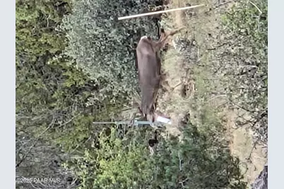 7250 W Hootenanny Road, Prescott, AZ 86305 - Photo 27