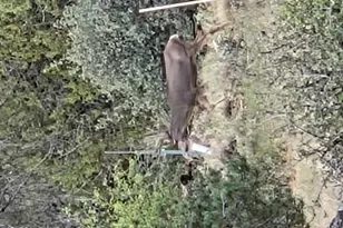 7250 W Hootenanny Rd, Prescott, AZ 86305 - Photo 27