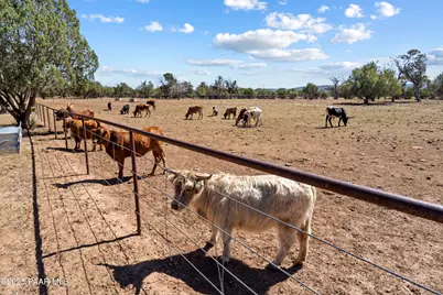 33425 W Cowboy Clint Way, Seligman, AZ 86337 - Photo 79
