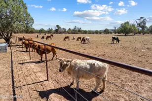 33425 W Cowboy Clint Way, Seligman, AZ 86337 - Photo 79