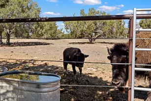 33425 W Cowboy Clint Way, Seligman, AZ 86337 - Photo 69