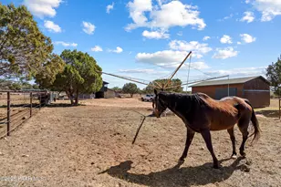 33425 W Cowboy Clint Way, Seligman, AZ 86337 - Photo 67
