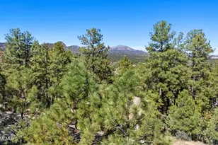 1549 Scotch Pine Dr, Prescott, AZ 86303 - Photo 1