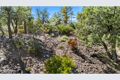 1549 Scotch Pine Drive, Prescott, AZ 86303 - Photo 3