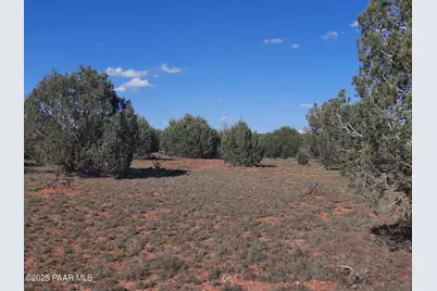 54243 N Via De Oro Pakway Parkway, Seligman, AZ 86337 - Photo 7