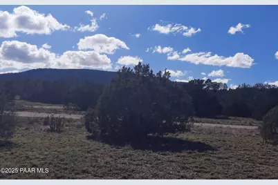 54243 N Via De Oro Pakway Parkway, Seligman, AZ 86337 - Photo 5