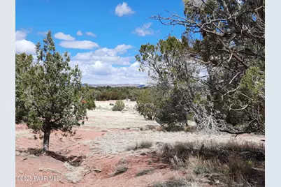 55660 N La Bruja Road, Seligman, AZ 86337 - Photo 7