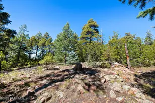 318X E Poland Rd, Prescott, AZ 86303 - Photo 19