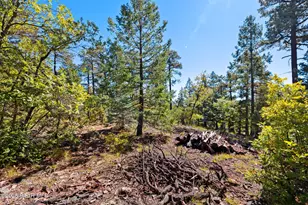 318X E Poland Rd, Prescott, AZ 86303 - Photo 21