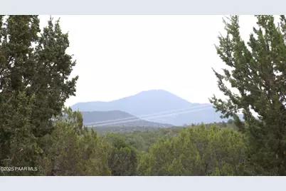 1641 Lara Lane, Williams, AZ 86046 - Photo 11