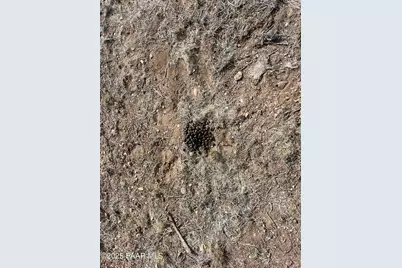 46625 N Jackrabbit Circle, Ash Fork, AZ 86320 - Photo 47