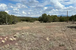 46625 N Jackrabbit Circle, Ash Fork, AZ 86320 - Photo 41