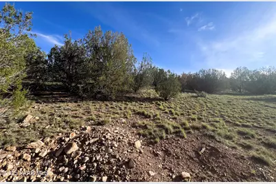 0 Basconia Road, Seligman, AZ 86337 - Photo 21