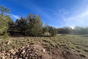 0 Basconia Rd, Seligman, AZ 86337 - Photo 21