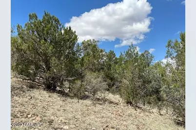 32727 W Bucks Road, Seligman, AZ 86337 - Photo 11