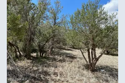 32727 W Bucks Road, Seligman, AZ 86337 - Photo 5