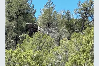 32727 W Bucks Road, Seligman, AZ 86337 - Photo 15