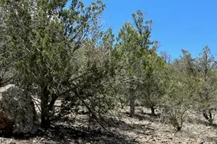 32727 W Bucks Rd, Seligman, AZ 86337 - Photo 1