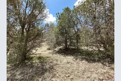 32727 W Bucks Road, Seligman, AZ 86337 - Photo 19