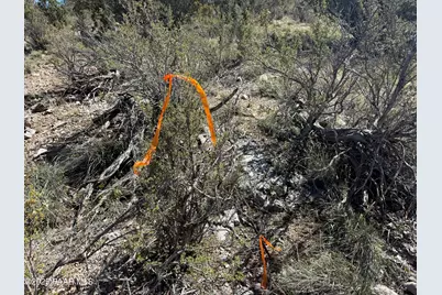 33367 W Hora Circle, Seligman, AZ 86337 - Photo 5