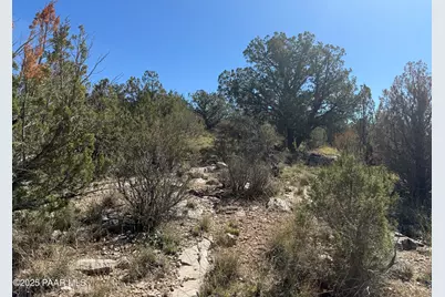 33367 W Hora Circle, Seligman, AZ 86337 - Photo 13