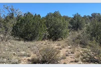 33367 W Hora Circle, Seligman, AZ 86337 - Photo 15