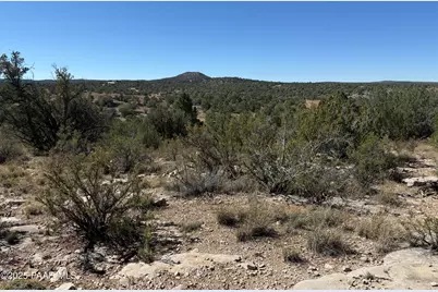 33367 W Hora Circle, Seligman, AZ 86337 - Photo 3