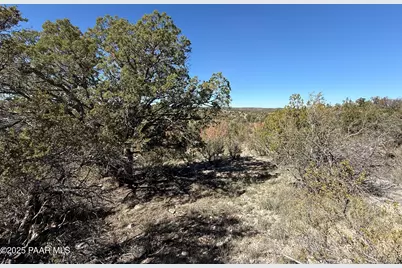 33367 W Hora Circle, Seligman, AZ 86337 - Photo 11