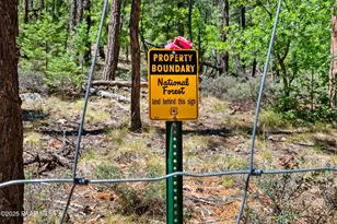 4955 E Herrin Hollow Ln, Prescott, AZ 86303 - Photo 37